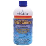 Wellesse Joint Movement Glucosamine with Chondroitin + MSM, Natural Berry Flavor
